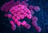 آنتی بیوتیک,شناسایی آنتی‌بیوتیکی توسط هوش مصنوعی با توانایی مبارزه با عفونت‌های مقاوم به دارو