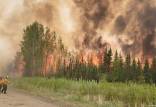 جنگل‌های کانادا,آتش سوزی در جنگل‌های کانادا