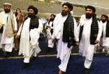 طالبان,گروه تروریستی القاعده