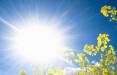 آفتاب سوختگی,افزایش ریسک آفتاب سوختگی با مصرف برخی داروها
