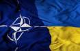 اوکراین در ناتو,دست رد آلمان به عضویت اوکراین در ناتو