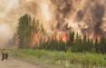 جنگل‌های کانادا,آتش سوزی در جنگل‌های کانادا