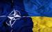 اوکراین در ناتو,دست رد آلمان به عضویت اوکراین در ناتو
