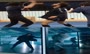 فیلم/ تمرینات مبارزه‌ای کیانو ریوز برای جان ویک ۴