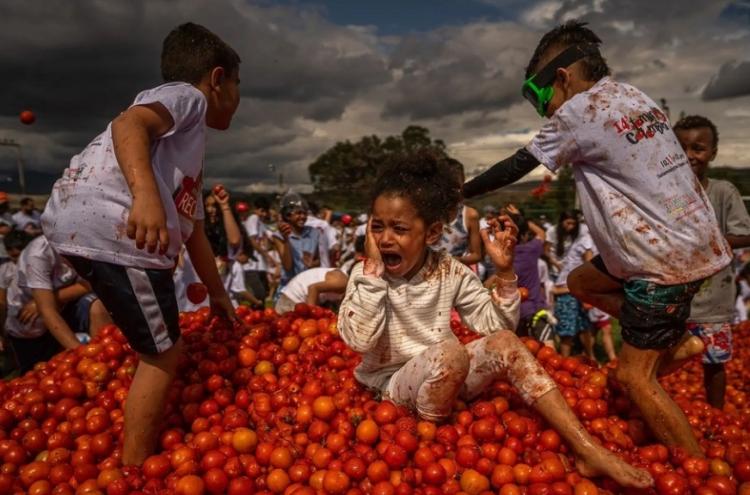 تصاویر جشنواره مبارزه با گوجه فرنگی در کلمبیا,عکس هایی از جشنواره مبارزه با گوجه فرنگی در کلمبیا,تصاویر مبارزه با کوچه در کلمبیا