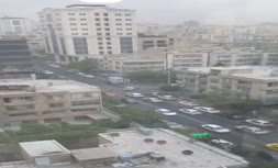 فیلم/ طوفان در تهران و قطع تعدادی از درختان