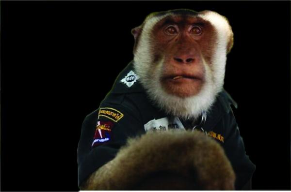 میمون,پلیس شدن یک میمون در تایلند