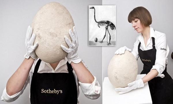 تخم مرغ,کشف تخم‌مرغ چند ده میلیونی در یک سوپرمارکت