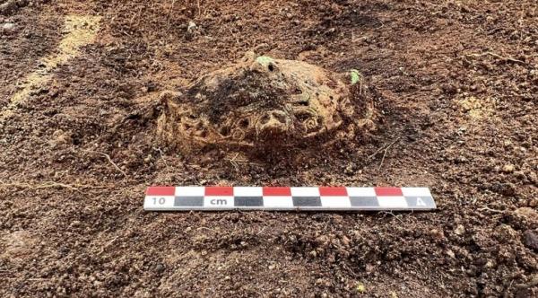 اشیا تاریخی,کشف ماهی‌تابه در مقبرۀ یک جنگجوی وایکینگ
