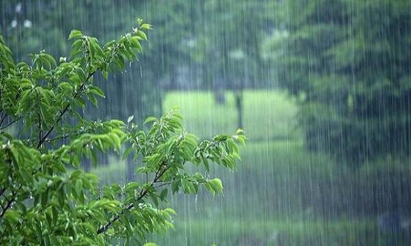 وضعیت آب و هوای ایران در 20 تیر 1402,رگبار باران در برخی استان‌ها