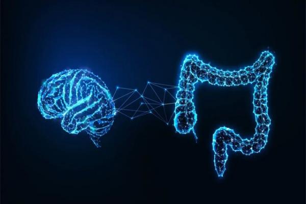 مغز و روده,ابداع فناوری پیشرفته‌ برای بررسی رابطه پیچیده بین مغز و روده