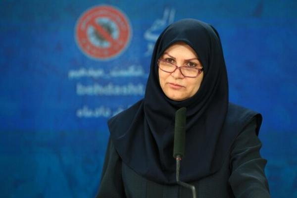 امنیت غذا و تغذیه,تنظیم سند ملی امنیت غذا و تغذیه