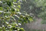 آخرین وضعیت آب و هوای کشور در 5 تیر 1402,رگبار باران و رعد و برق در جنوب کشور