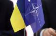 مخالفت آلمان با عضویت اوکراین در ناتو,حضور اوکراین در ناتو