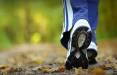 پیاده روی,کاهش احتمال ابتلا ابه اقسردگی با پیاده روی کوتاه روزانه