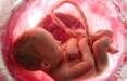 حاملگی طبیعی,احتمال افزایش بارداری طبیعی بعد از بچه دار شدن از طریق IVF