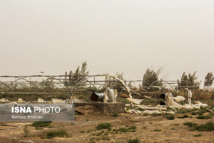 تصاویر طوفان گرد و خاک در سیستان و بلوچستان,عکس های طوفان گرد و خاک در سیستان و بلوچستان,تصاویری از طوفان گرد و خاک در سیستان و بلوچستان در تیر 1402