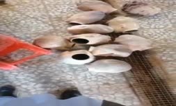 ویدیویی جنجالی از بریدن سر مانکن‌ها در افغانستان به دستور طالبان