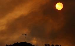 تصاویر آتش سوزی جنگلی در تنریف اسپانیا,عکس های آتش سوزی در اسپانیا,تصاویر آتش سوزی جنگل های اسپانیا