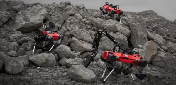 ربات ها در مریخ,کمک ربات‌های تیمی چهارپا به مریخ‌نوردها