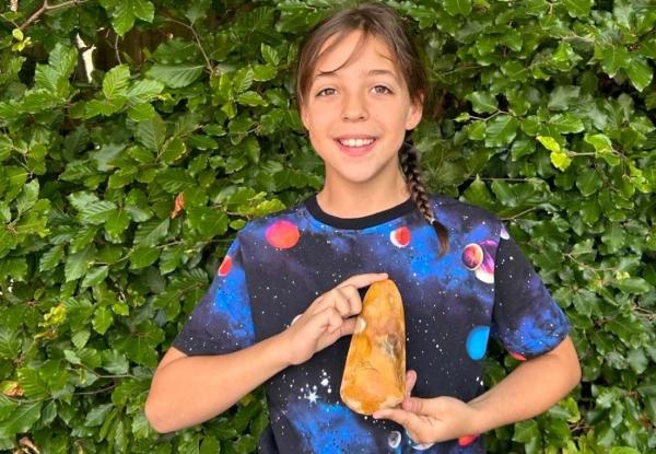 سنگ,کشف یک سنگ عجیب توسط دختر ۱۰ ساله