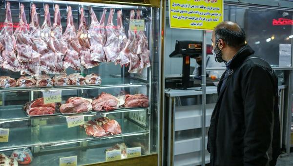 تورم در ایران,گوشت و مسکن پیشتازان تورم فقرا در تیر 1402