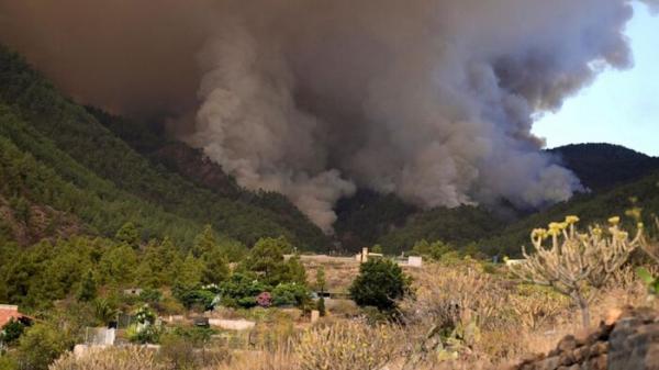 حوادث اسپانیا,آتش‌سوزی در جزیره تِنریف اسپانیا