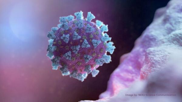 ویروس کرونا,ابتلای ۴ نفر به گونه جدید کرونا در آمریکا