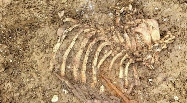 یافته‌های جدید و عجیب باستان‌شناس در انگلیس,باستان شناسان انگلیس