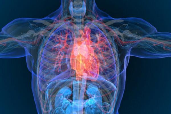 بیماری قلبی,ابداع نوعی تصویربرداری جدید برای تشخیص زودهنگام بیماری قلبی