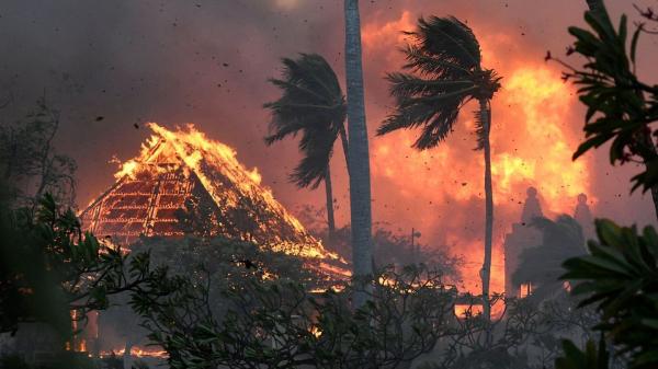 آتش سوزی هاوایی,کشته شدگان در آتش سوزی هاوایی