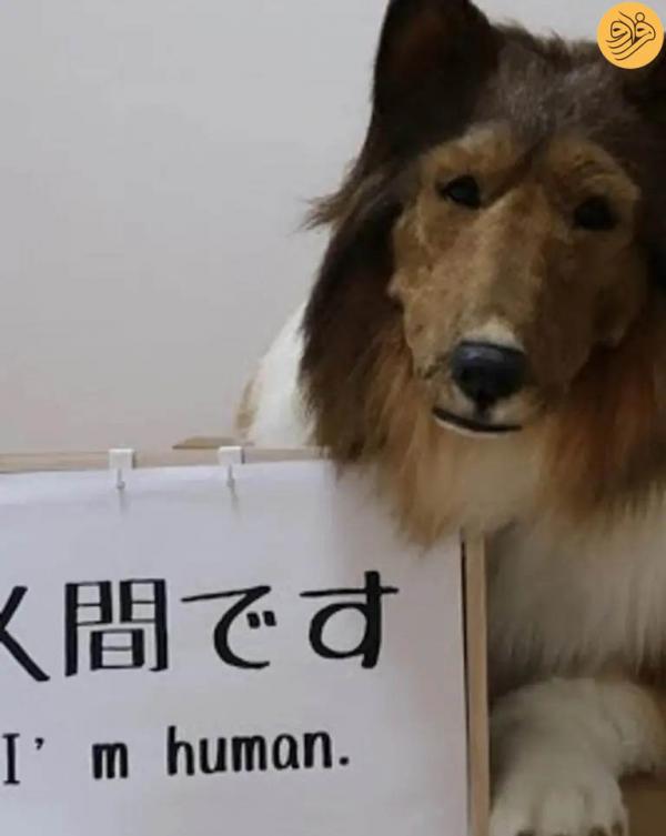 سگ انسان نما,تبدیل شدن مرد ژاپنی به سگ