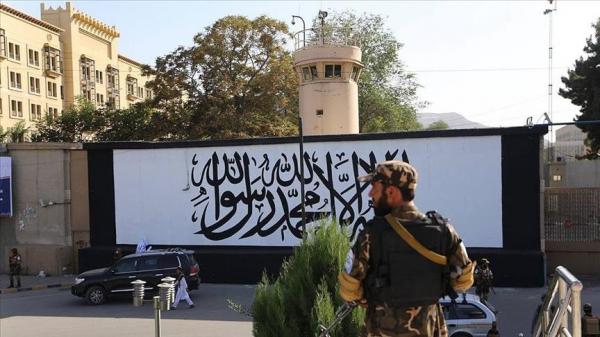 شرط طالبان برای آمریکا,مذاکره آمریکا و طالبان
