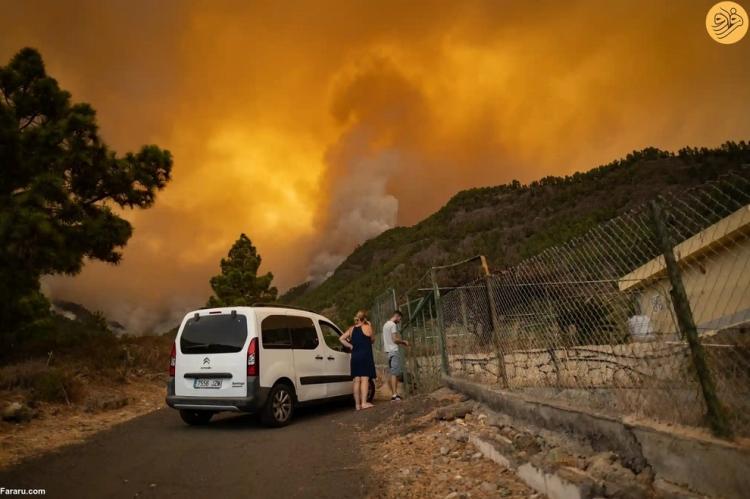 تصاویر آتش سوزی جنگلی در تنریف اسپانیا,عکس های آتش سوزی در اسپانیا,تصاویر آتش سوزی جنگل های اسپانیا
