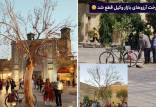 درخت آرزوها در شیراز,قطع درخت آرزوها در شیراز