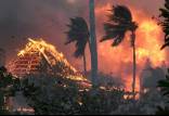 آتش سوزی هاوایی,کشته شدگان در آتش سوزی هاوایی