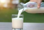 شیر گاو,تفاوت شیرهای گیاهی و شیر گاو