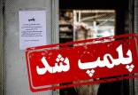 پلمب,فلج کردن کسب و کارها با پلمب