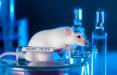 آزمایشگاه مخفی چین در کالیفرنیا, کشف هزاران موش‌ مبتلا به کرونا