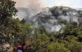 جنگل مریوان,آتش‌سوزی 34 ساعته جنگل‌های مریوان
