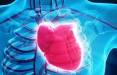 قلب,کاهش خطر ابتلا به سرطان در افرادی با قلب سالم