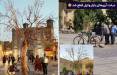 درخت آرزوها در شیراز,قطع درخت آرزوها در شیراز