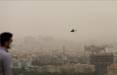 آلودگی هوای تهران,صحبت های عضو شورای شهر تهران درباره آلودگی هوا