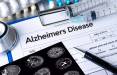 آلزایمر,تشخیص آلزایمر با میکروب‌های روده