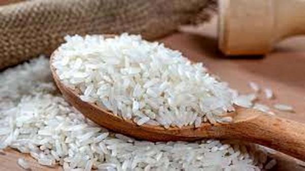 برنج ایرانی,وارد کنندگان برنج