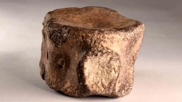 کشف اشیای مربوط به دوره امپراطوری روم,کشف یک شیء غیرمنتظره در کنار قبرهای دو هزار ساله