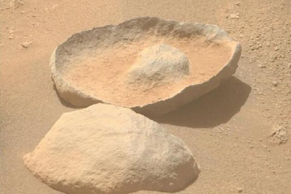 مریخ,کشف یک آووکادو توسط مریخ‌نورد استقامت