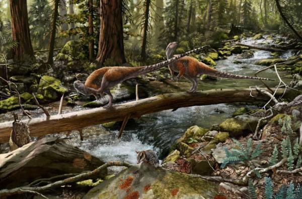 دایناسور,کشف گونه جدیدی از دایناسورها