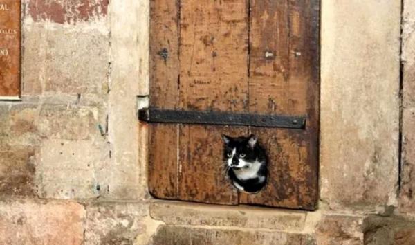 درب گربه‌رو,قدیمی‌ترین درب گربه‌رو جهان