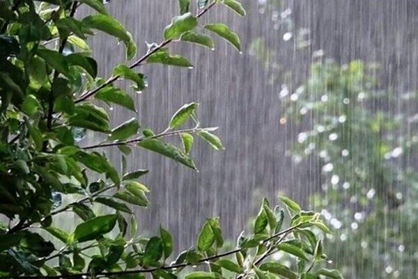 وضعیت آب و هوای کشور,بارش باران در شهریور و مهر 1402
